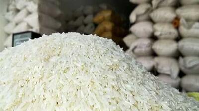  قیمت برنج کاهش یافت