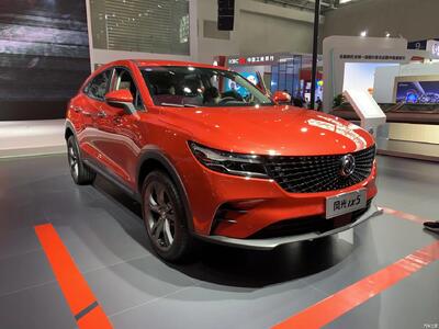  تولید دیگنیتی متوقف شد