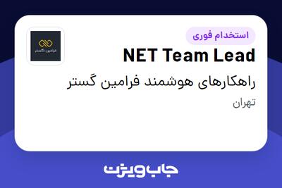  استخدام NET Team Lead در راهکارهای هوشمند فرامین گستر