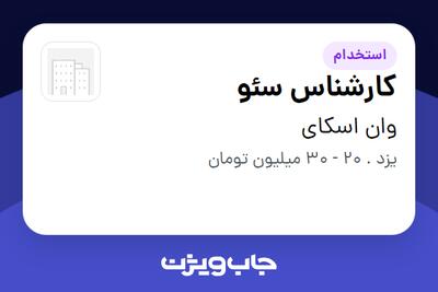  استخدام کارشناس سئو در وان اسکای