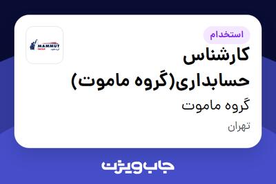  استخدام کارشناس حسابداری(گروه ماموت) در گروه ماموت