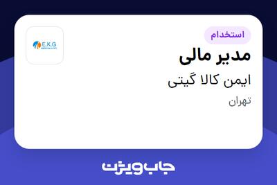  استخدام مدیر مالی در ایمن کالا گیتی