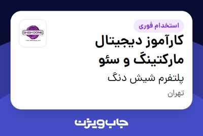  استخدام کارآموز دیجیتال مارکتینگ و سئو در پلتفرم شیش دنگ