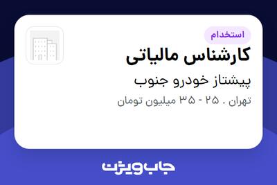  استخدام کارشناس مالیاتی - خانم در پیشتاز خودرو جنوب