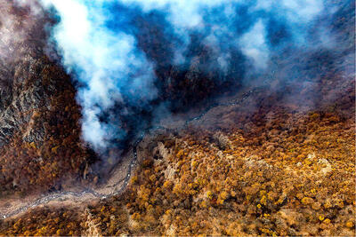  هشدار آتش سوزی جنگل درپی افزایش بی سابقه دما در مازندران