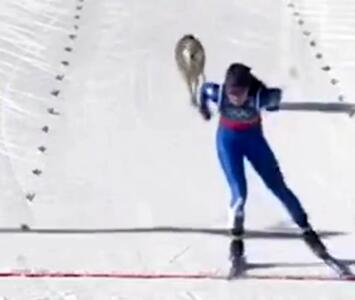  یک سگ از خط پایان المپیک عبور کرد