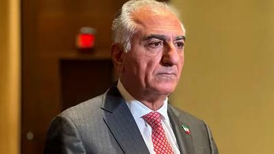  توصیف جنجالی اپوزیسیون از رضا پهلوی