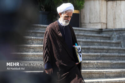  اظهارات مهم معاون پزشکیان درباره FATF  و پرونده کرسنت/ مستندسازی خسارات حوادث دی‌ماه در حال انجام است