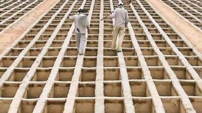  توضیح مدیرعامل بهشت زهرا درباره قبر مخصوص برای سربازان آمریکایی - مردم سالاری آنلاین