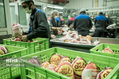  قیمت کارشناسی مرغ اعلام شد