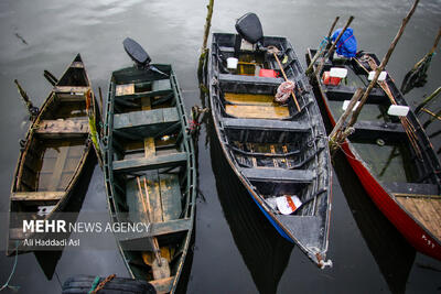  خط گردشگری دریایی برای اتصال بنادر جنوبی کشور راه‌اندازی می‌شود