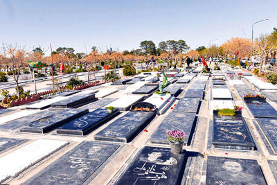  آمار بهشت زهرا از جانباختگان تهرانی در حوادث دی ماه