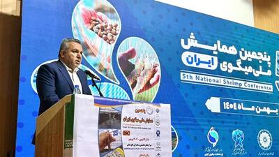  هم‌افزایی دولت و بخش خصوصی، کلید نجات صنعت میگو است