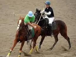  قهرمانی تیم نزاجا در هفته بیست‌وسوم لیگ ملی چوگان