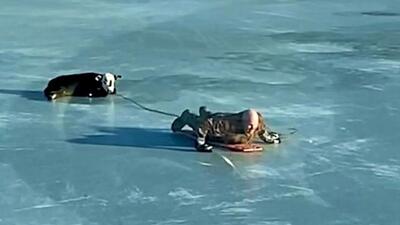  فیلم / معماری طبیعت / نجات گوساله که روی یخ مثل آینه سکندری می خوره