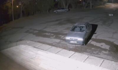  لحظه عجیب حمله گرگ به یک دانشجو در محوطه دانشگاه زنجان + فیلم - سلام نو