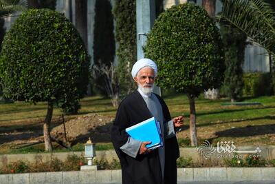 معاون حقوقی رئیس‌جمهوری: مستندسازی خسارات حوادث دی‌ماه در دستور کار دولت است