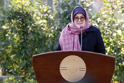  مهاجرانی در حاشیه حیاط دولت: گزارش مذاکرات در جلسه دولت ارائه شد | تاکید ویژه رئیس‌جمهور بر حفظ آرامش آرامستان‌ها