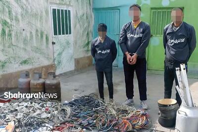  دستگیری باند سرقت از باغ ویلا‌ها | قهقهه «علی خردو» در «قهقهه» شکست