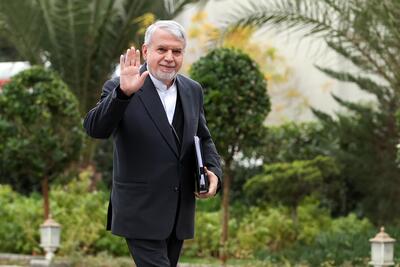  وزیر میراث فرهنگی: مناطق آزاد ظرفیت‌های خوبی برای گردشگری دارند