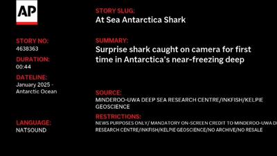  دانشمندان برای اولین بار حضور کوسه را در آب‌های قطب جنوب مشاهده کرده‌اند