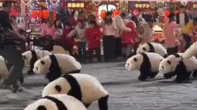  رقاصی و اجرای حرکات موزون ربات های پاندا به مناسبت جشن‌های سال نو چینی