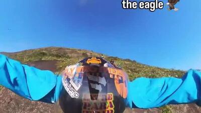  انسان سریع تر پرواز می کند یا شاهین کوهی؟