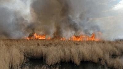  علت آتش سوزی پرند مشخص شد