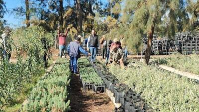  اسرائیل هزاران هکتار از زمین‌های لبنان را مسموم کرد