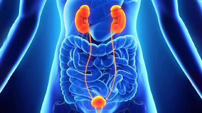  ضرورت مصرف زیاد آب بین افطار تا سحر/ پرهیز از مصرف غذای پر چرب + فیلم