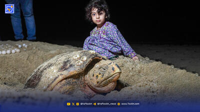  ساحل‌سازی به قیمت‌ انقراض لاک‌پشت‌ها