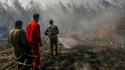  آتش به جان تالاب انزلی افتاد