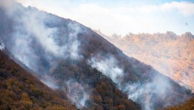  آتش‌سوزی در منطقه جنگلی   خرس‌کشی  کردکوی