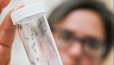  گرمایش زمین و هشدار شیوع یک عفونت ویروسی در سراسر اروپا