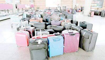  تکرار کوچ‌های دسته‌جمعی