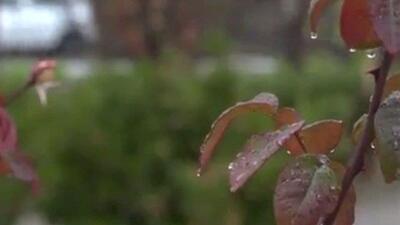  بارندگی تهران ۲۰۰ میلی متر کمتر از شرایط ایده‌آل        