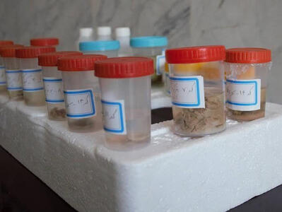  ارسال 55 نمونه از حیات وحش اردبیل به بانک ژن