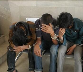  دستگیری سارقان کابل در شهرستان بیرجند