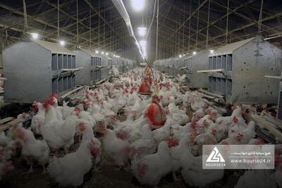  رشد درآمد عملیاتی «زماهان» مانع زیان‌دهی نشد