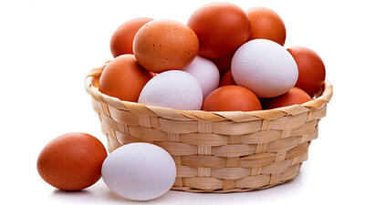  ارسال تخم مرغ ایران به عراق و افغانستان/ زیان ۵۰۰ میلیاردی نصیب کشور شد