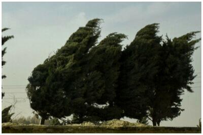  هشدار وزش باد شدید در تهران