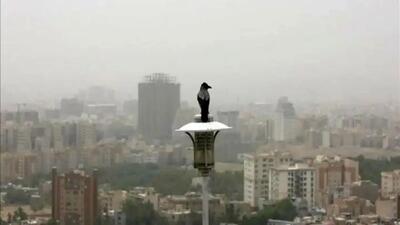  هشدار نارنجی برای گروه‌های حساس / هوای تهران آلوده شد