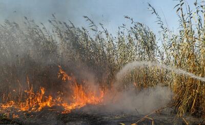  فرمانداری: تالاب انزلی همچنان در آتش می‌سوزد و احتمال افزایش وسعت حریق به ۱۰ هکتار وجود دارد/ محدوده آتش‌سوزی دور از منازل مسکونی است/ به علت صعب‌العبور بودن منطقه، خودروهای آتش‌نشانی امکان حضور در محل حریق را ندارند
