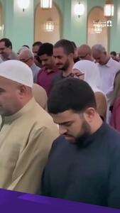  میوی یک گربه بر منبر مسجد نمازگزاران را خنداند