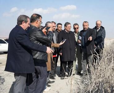  کاهش چشمگیر ریزگردها در جبل‌کندی با احداث ۷۶۰ هکتار بادشکن