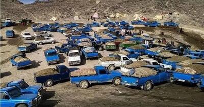  باند قاچاق ۵ میلیون لیتر سوخت در کشور منهدم شد