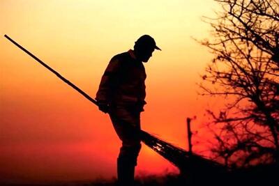  اشتغال ۱۰۰۰ کارگر ایرانی در طرح جایگزینی اتباع برای جمع‌آوری پسماند