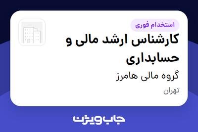  استخدام کارشناس ارشد مالی و حسابداری در گروه مالی هامرز
