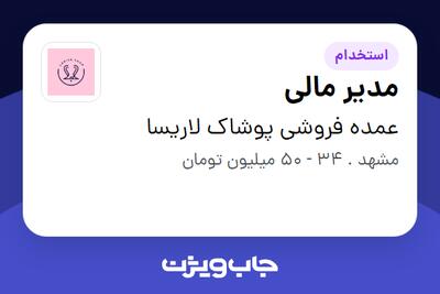  استخدام مدیر مالی در عمده فروشی پوشاک لاریسا