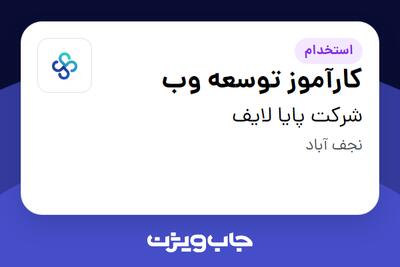  استخدام کارآموز توسعه وب در شرکت پایا لایف